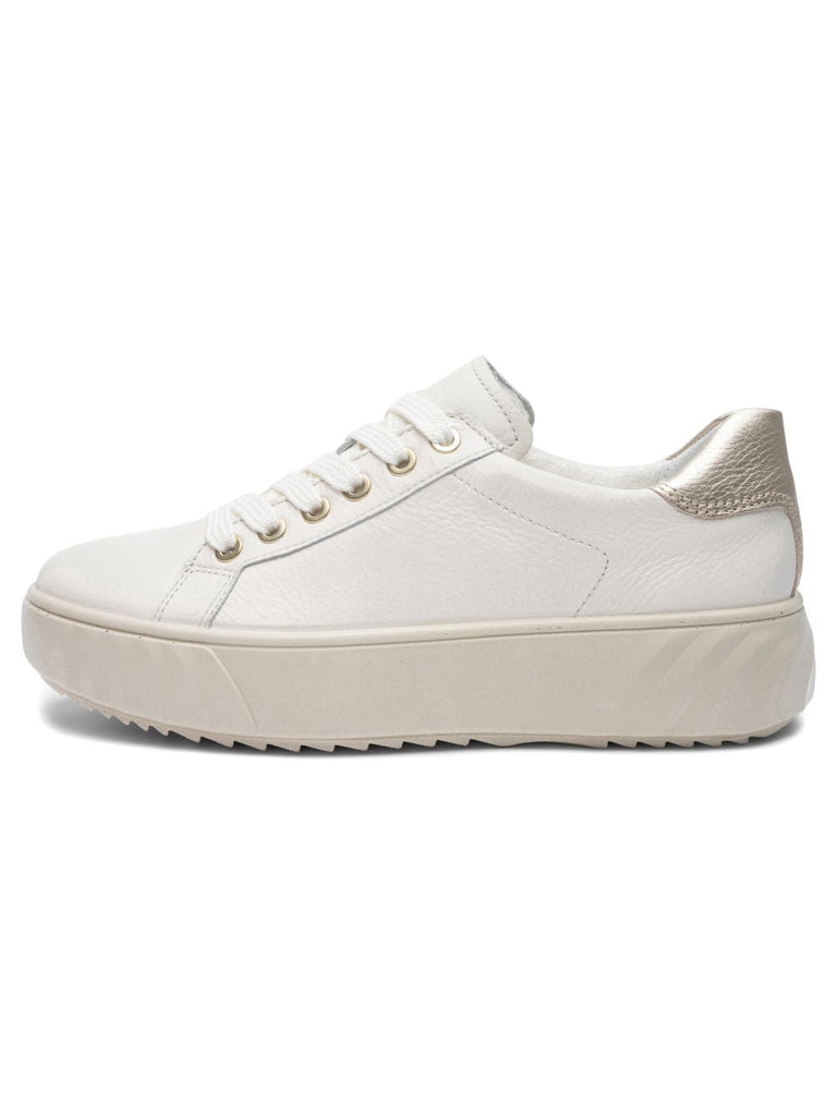 White sneaker on a white background