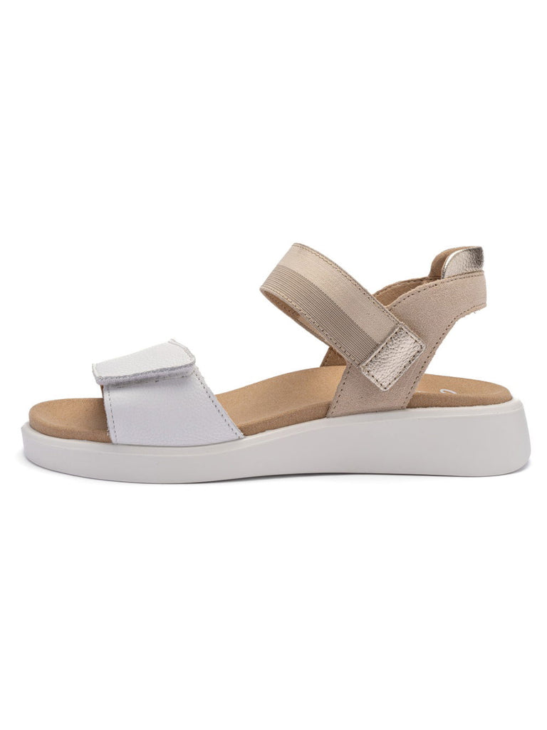Ara White and taupe Wide Fit Sandal|122140604