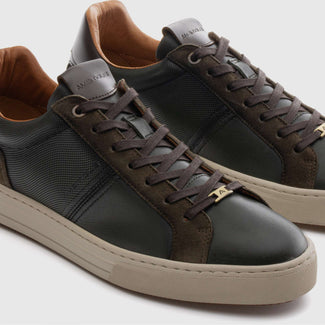 Ambitious 136057315- Trainer.