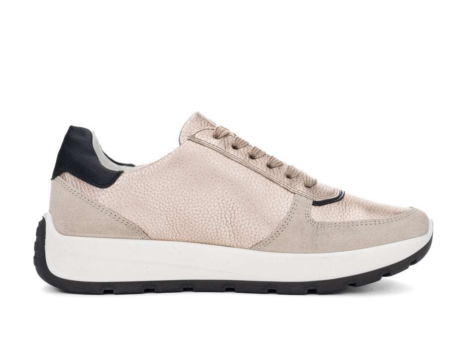 Ara 122511208- Trainer.