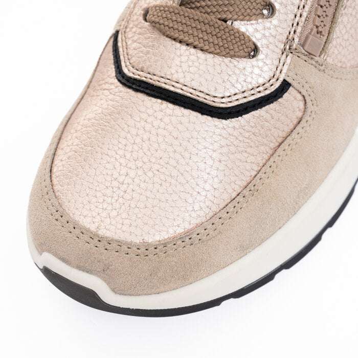 Ara 122511208- Trainer.