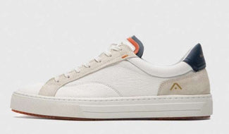 Ambitious 112183499- Trainer.