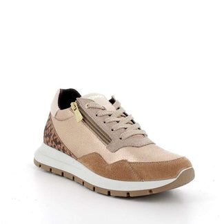 Igi 6672577- Trainer.