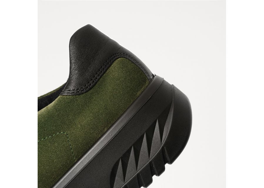 Ara 124670707- Trainer.