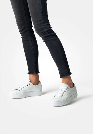 Paul Green 4790155- Trainer.