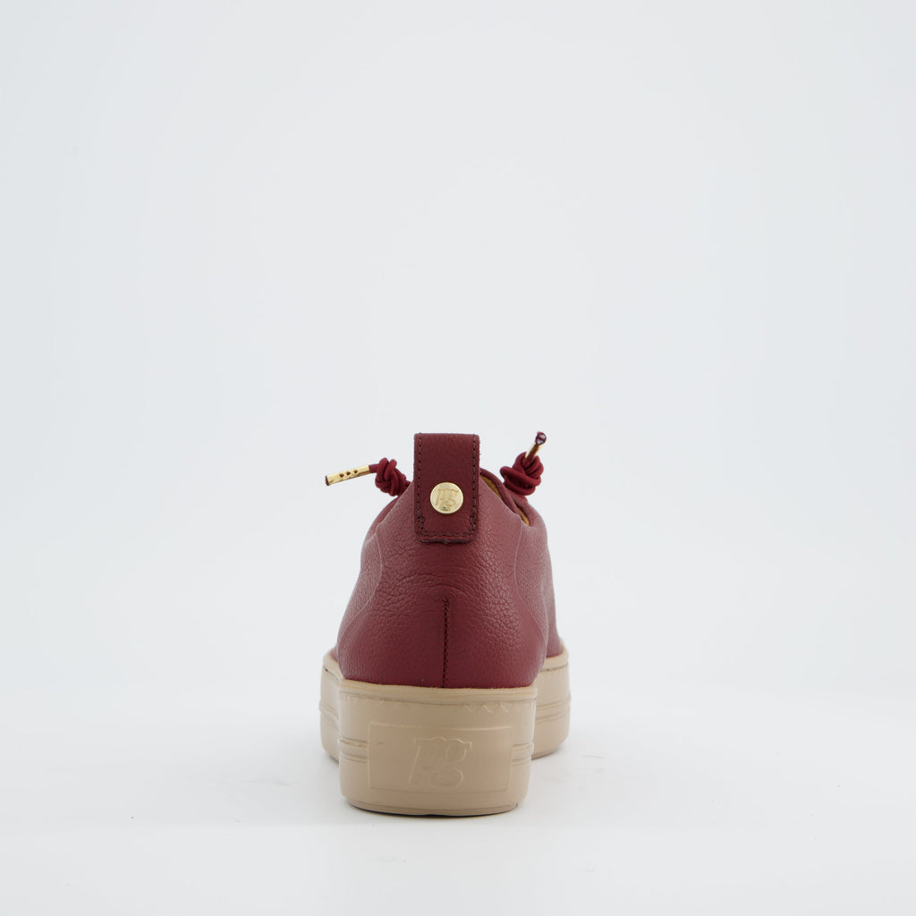 Paul Green 5017438- Trainer.