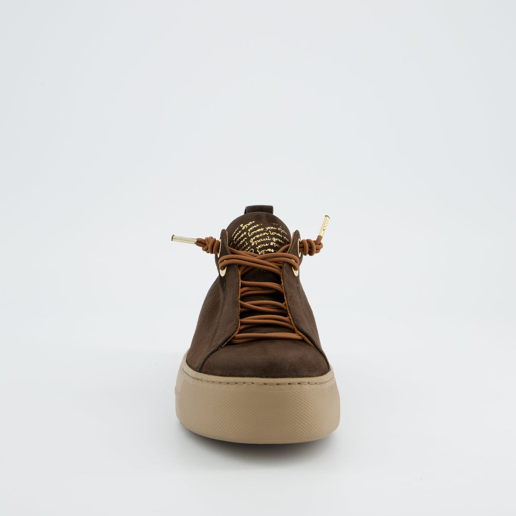 Paul Green 5017448- Trainer.