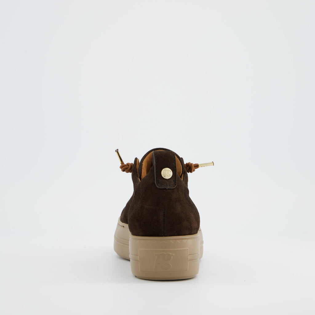 Paul Green 5017448- Trainer.