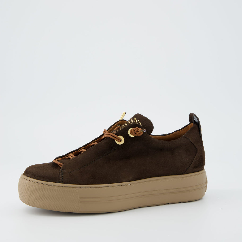 Paul Green 5017448- Trainer.