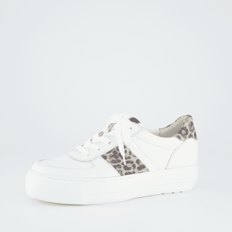 Paul Green 5230177-Trainer.