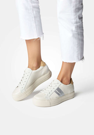 Paul Green 5330015- Trainer.