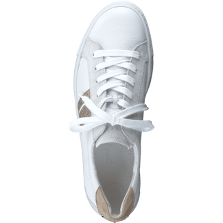 Paul Green 5330066- Trainer.