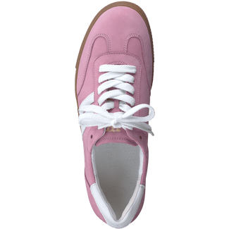 Paul Green 5350025- Trainer.