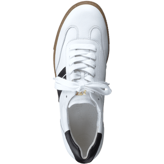 Paul Green 5350086- Trainer.