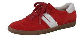 Paul Green 5350105- Trainer.