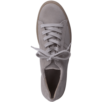 Paul Green 5364026- Trainer.