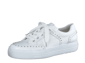 Paul Green 5381036-Trainer.