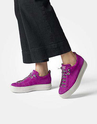 Paul Green 5417004 - Trainer.