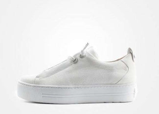 Paul Green - 5417046 - Trainer.