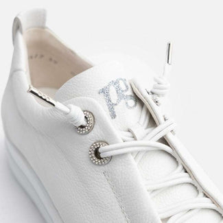 Paul Green - 5417046 - Trainer.