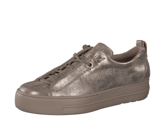 Paul Green 5417066- Trainer.