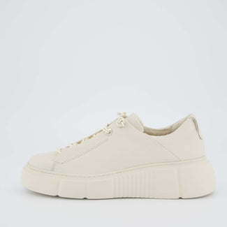 Paul Green 5418077- Trainer.