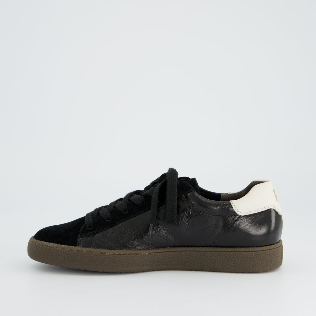 Paul Green 5464208-Trainer.