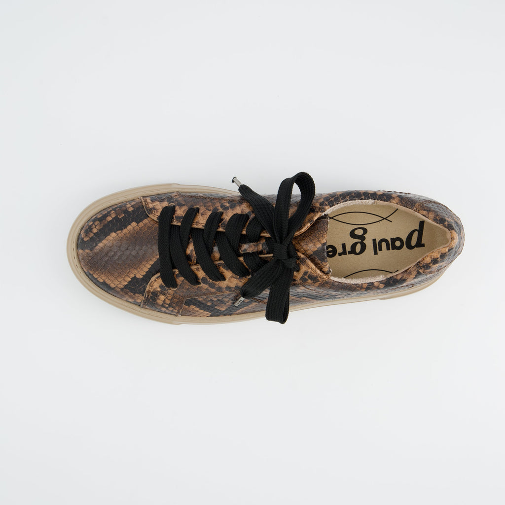 Paul Green 5469058- Trainer Boa.