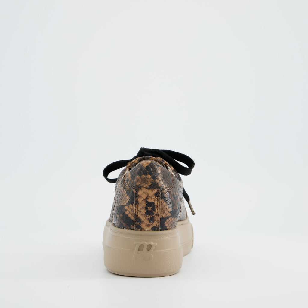 Paul Green 5469058- Trainer Boa.