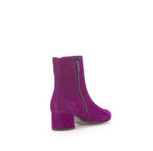 Load image into Gallery viewer, Gabor 5568010- Ankle Boot.
