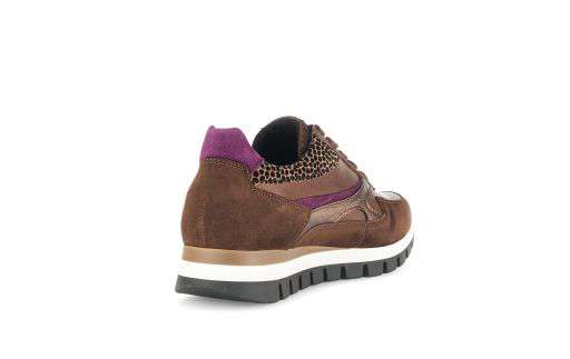 Gabor 5643754- H Fit Trainer.