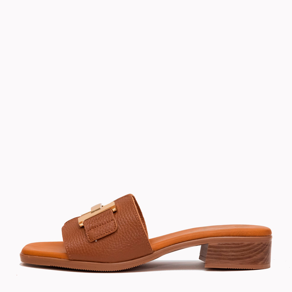 Brown sandal with a gold buckle on a white background