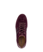 Load image into Gallery viewer, Gabor Burgundy Suede Trainer|601101002
