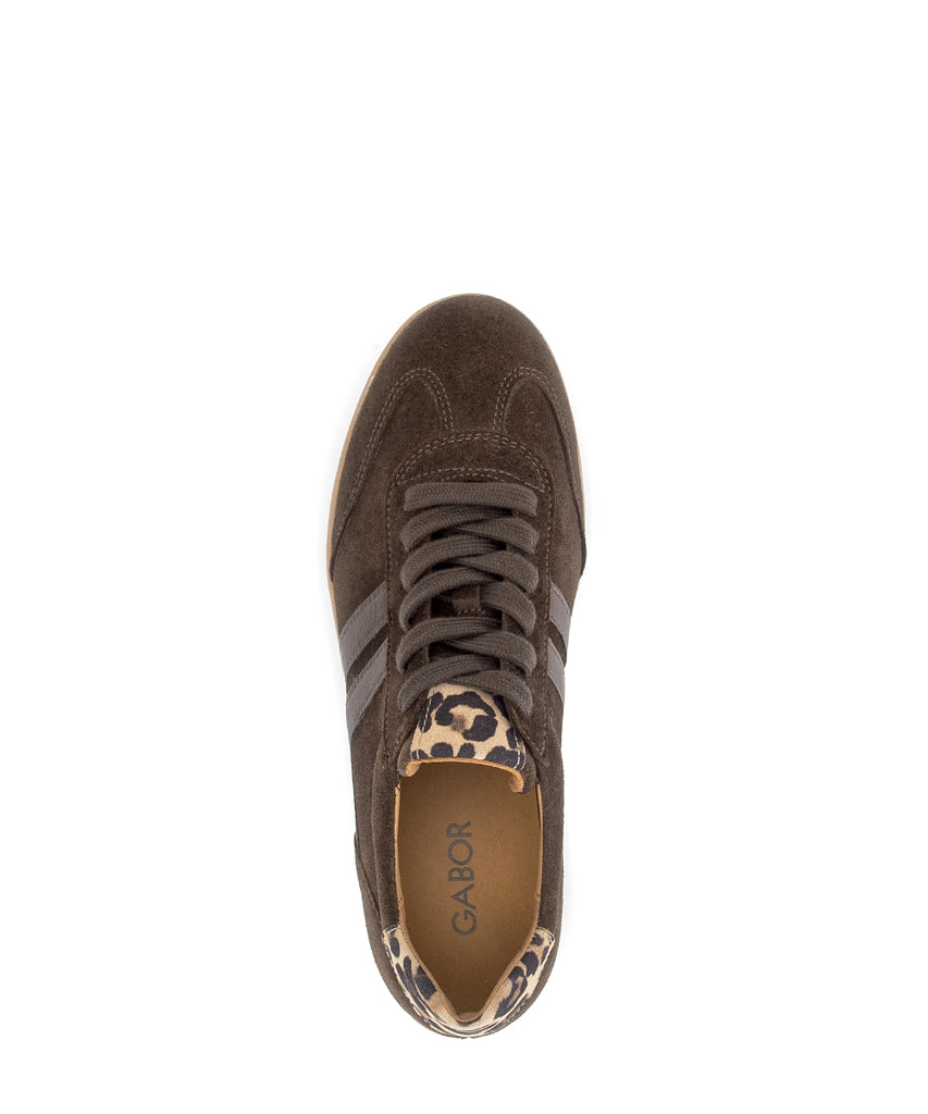 Gabor Brown Suede Trainer|601101003