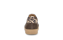Load image into Gallery viewer, Gabor Brown Suede Trainer|601101003
