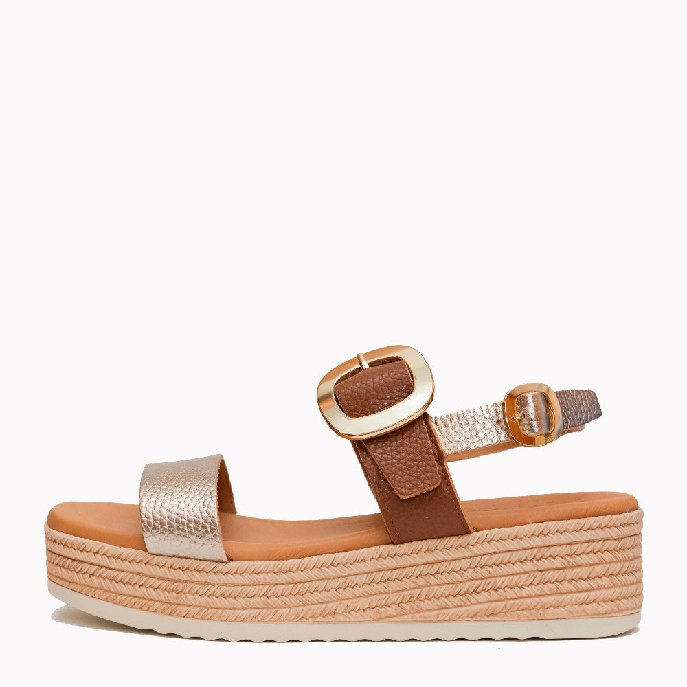 Brown sandal with gold buckle on a white background