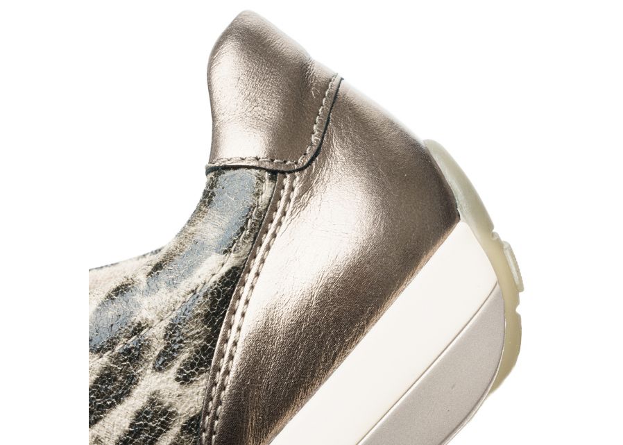 Ara 126458705-Trainer.