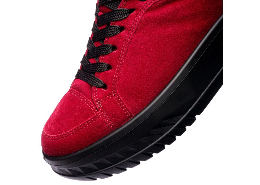 Ara 124670319- Trainer.