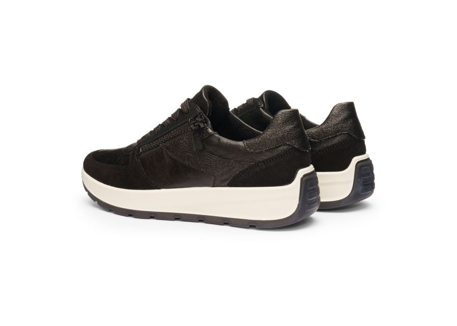 Ara 122511201- Trainer.