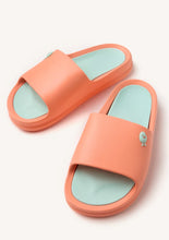 Load image into Gallery viewer, Hot Potatoe Coral  Mule|75545COR
