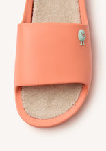 Load image into Gallery viewer, Hot Potatoe Coral  Mule|75545COR
