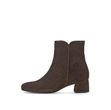 Load image into Gallery viewer, Gabor Dark Brown Suede Ankle Boot|7568018, autumn winter 2025

