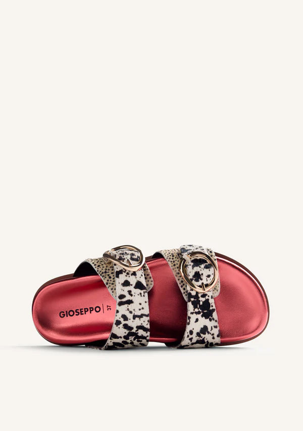 Gioseppo Animal print Mule|78025RD
