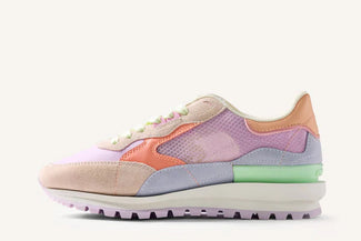 Multicolored sneaker on a white background