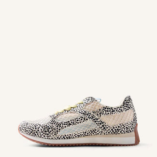 Sneaker with leopard print pattern on a white background
