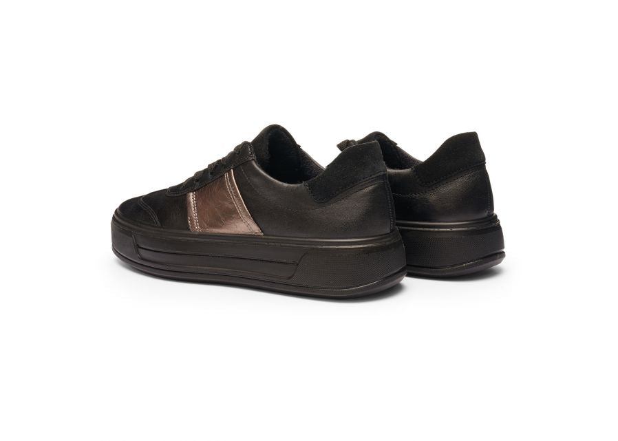 Ara 122301218-Trainer.