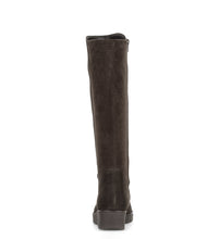 Load image into Gallery viewer, Gabor Brown Suede Tall Boot|800503002
