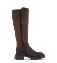 Load image into Gallery viewer, Gabor Brown Knee High Boot|802102006
