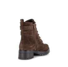 Load image into Gallery viewer, Gabor Brown Suede Laced Ankle Boot|802702002
