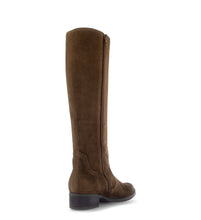 Load image into Gallery viewer, Gabor Brown Suede Tall Boot|803801001
